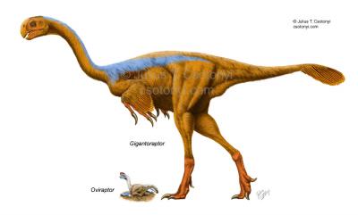 Reconstruccion de Gigantoraptor